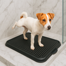 Tapete Sanitário Lavável Banheiro Cachorro + Adestrador Educador Educa Dog Xixi Sim e Não Petliz