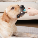 Escova de dente pet silicone bpa free livre maleável com estojo limpeza de dentes ultra macia 360°